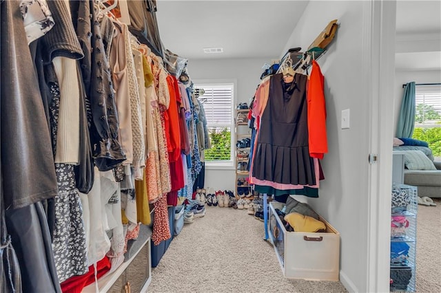 5615 Parkview Ln, Flowery Branch, GA 30542 - walk in closet featuring carpet floors