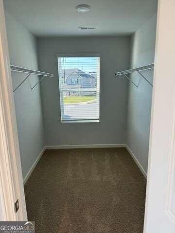 walk in closet with dark carpet