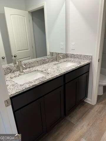 bathroom featuring vanity, hardwood / wood-style flooring, and toilet