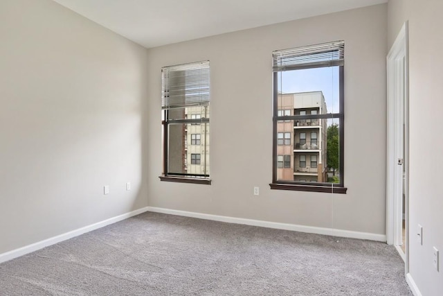 spare room with carpet floors