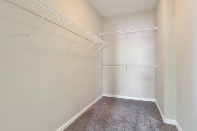 walk in closet with carpet