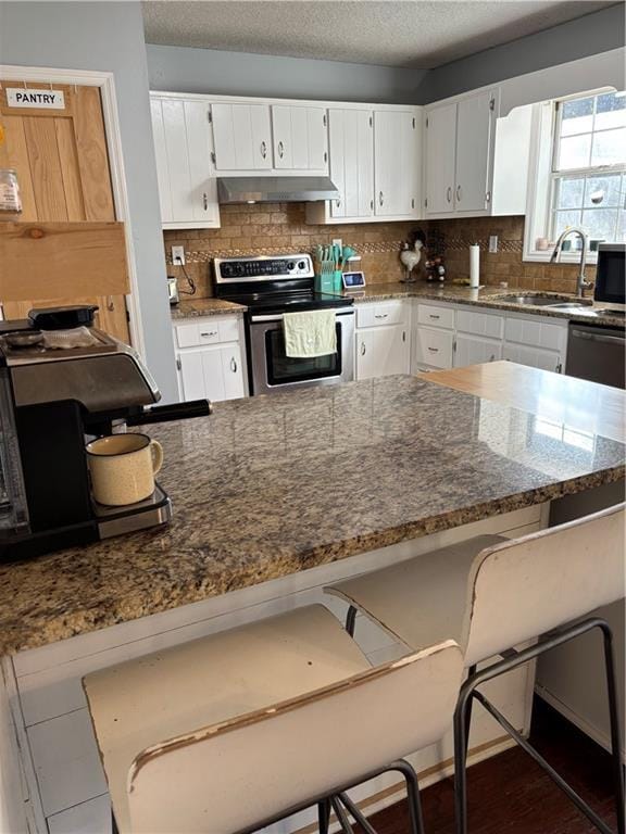 kitchen with under cabinet range hood, a sink, a kitchen breakfast bar, appliances with stainless steel finishes, and backsplash