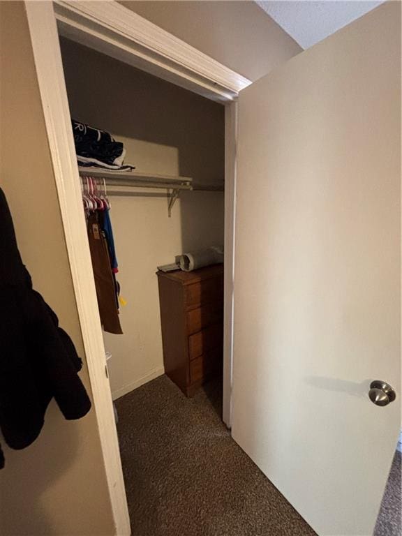 view of closet