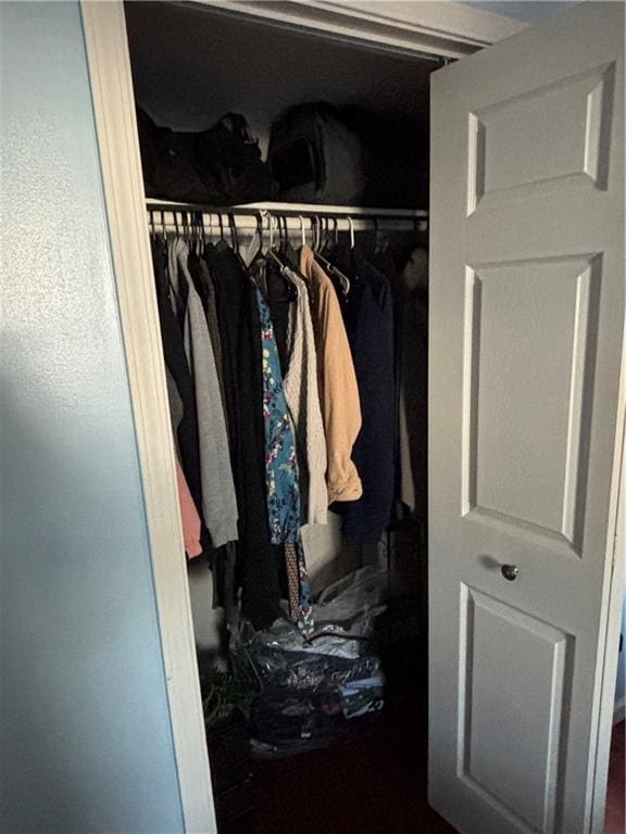 view of closet