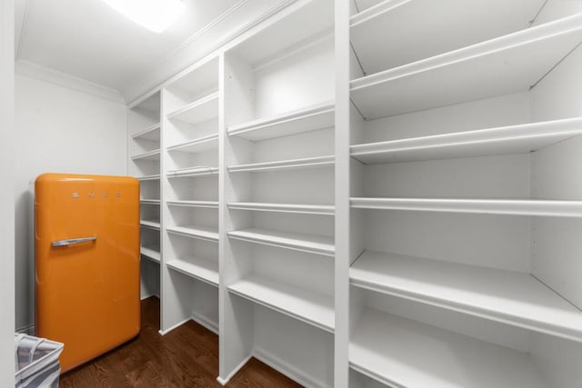 10150 Cedar Ridge Dr, Milton, GA 30004 - view of pantry