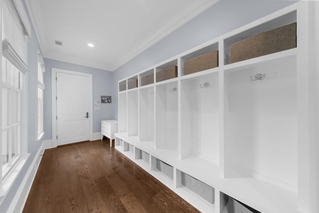 10150 Cedar Ridge Dr, Milton, GA 30004 - mudroom with crown molding and dark wood-style flooring