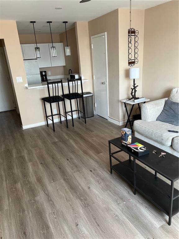 living room with wood-type flooring