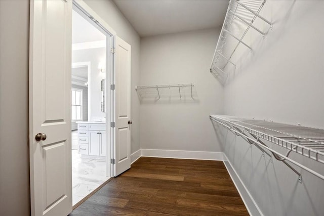 spacious closet with dark hardwood / wood-style floors