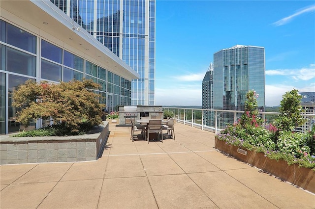 view of patio / terrace featuring area for grilling