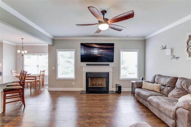 living room with crown molding, dark wood-type flooring, and ceiling fan with notable chandelier