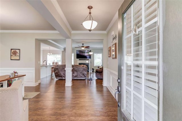 foyer with crown molding, ceiling fan, and dark hardwood / wood-style flooring