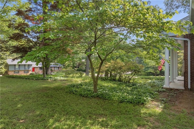4331 E Kings Point Cir, Dunwoody, GA 30338 - view of green lawn