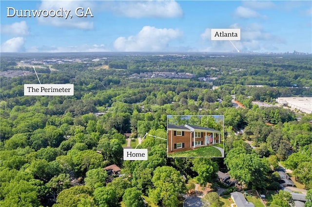 4331 E Kings Point Cir, Dunwoody, GA 30338 - aerial view of a heavily wooded area