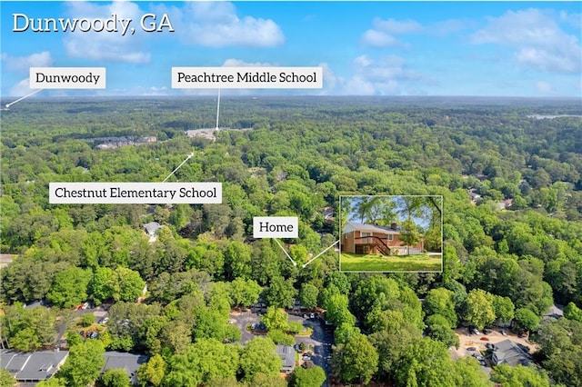 4331 E Kings Point Cir, Dunwoody, GA 30338 - bird's eye view of a forest