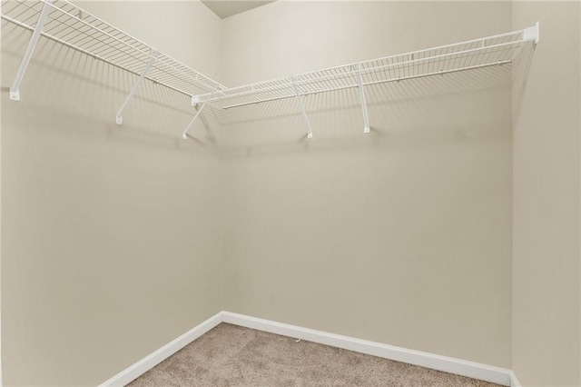 spacious closet with carpet flooring