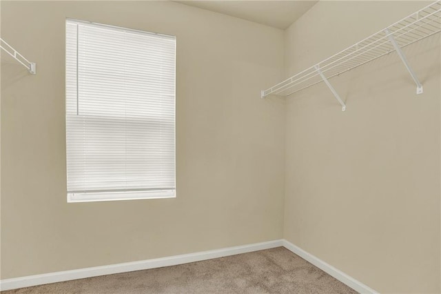 walk in closet with carpet