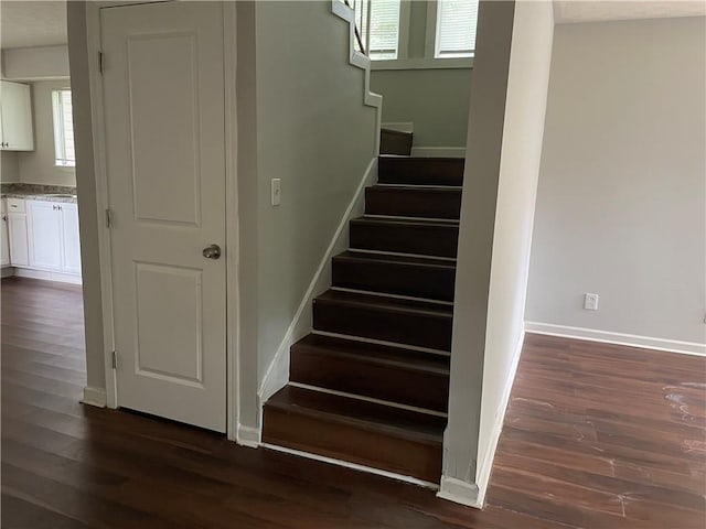 staircase featuring wood-type flooring