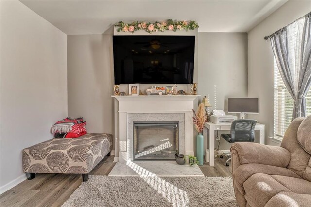 living room featuring light hardwood / wood-style floors