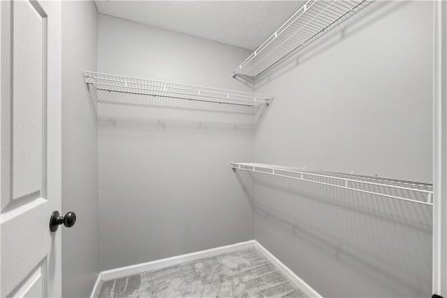 2680 Pine Tree Rd NE Unit 2, Atlanta, GA 30324 - walk in closet featuring carpet