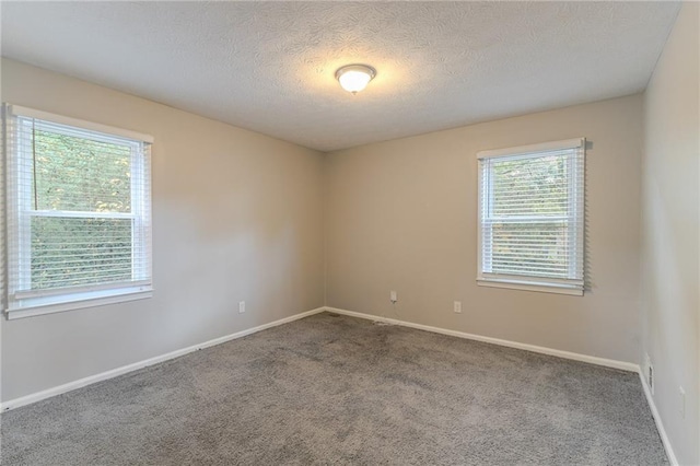 carpeted spare room with a wealth of natural light and a textured ceiling