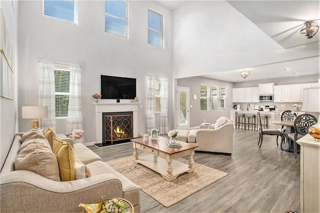 1329 Old Glory Ct, Hoschton, GA 30548 - living room featuring healthy amount of natural light, a high ceiling, a high end fireplace, and light wood-style floors