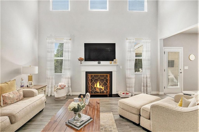 1329 Old Glory Ct, Hoschton, GA 30548 - living room with a towering ceiling, a warm lit fireplace, and wood finished floors