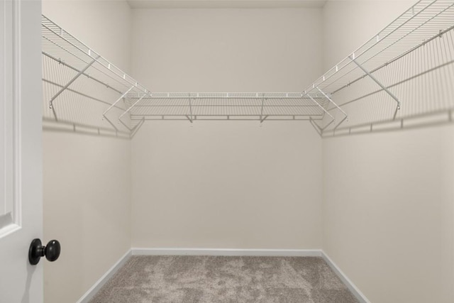 walk in closet with light colored carpet