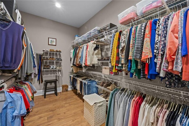 spacious closet with wood-type flooring