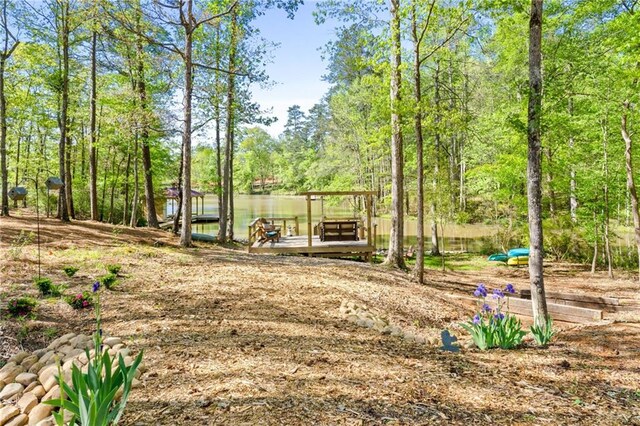 view of yard featuring a boat dock