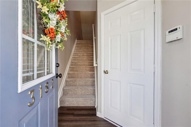 staircase with wood-type flooring