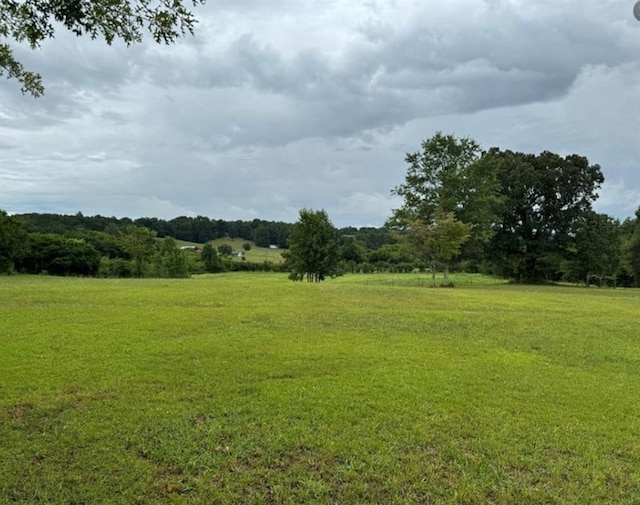 526 Spring Place Rd NE, White, GA 30184 - view of grassy yard
