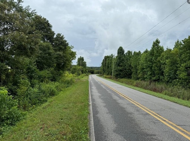 526 Spring Place Rd NE, White, GA 30184 - view of asphalt road with a view of trees