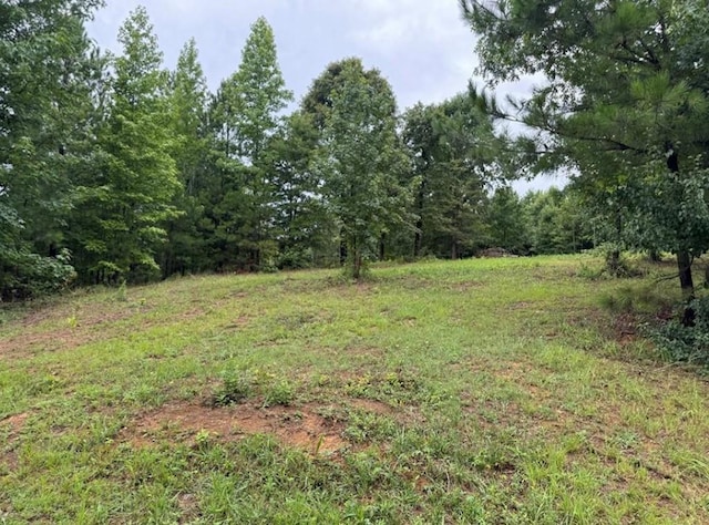 526 Spring Place Rd NE, White, GA 30184 - view of yard with a forest view