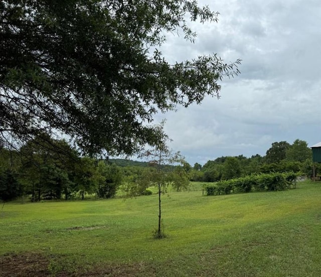 526 Spring Place Rd NE, White, GA 30184 - view of grassy yard