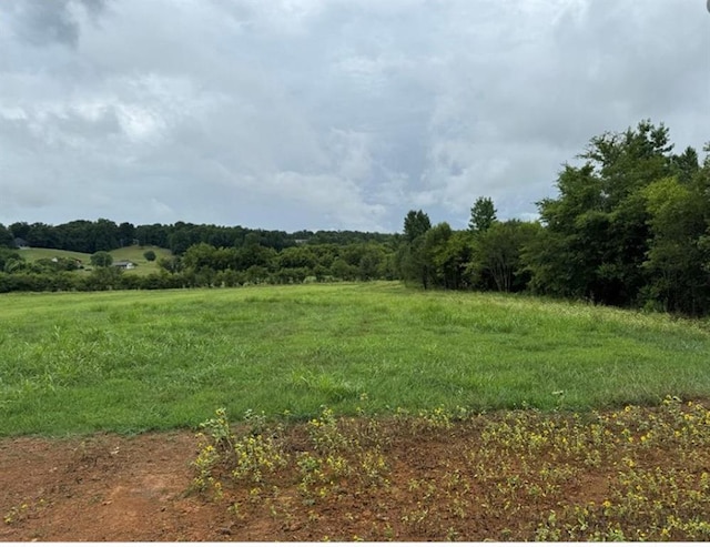 526 Spring Place Rd NE, White, GA 30184 - view of wooded area featuring a view of countryside