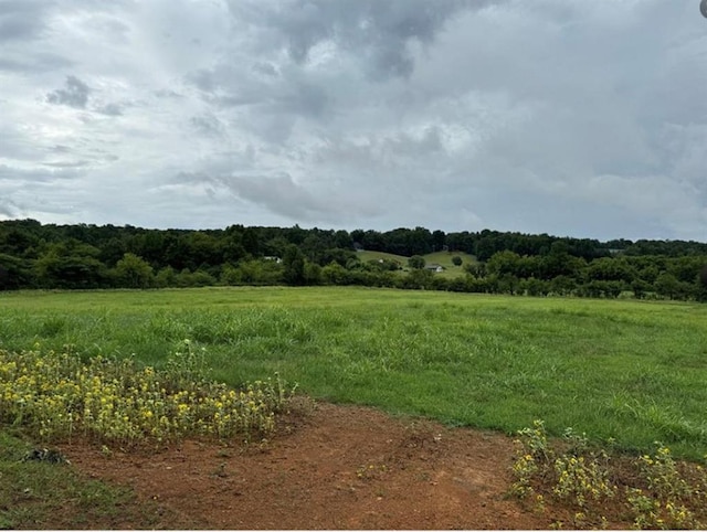 526 Spring Place Rd NE, White, GA 30184 - view of nature with rural landscape