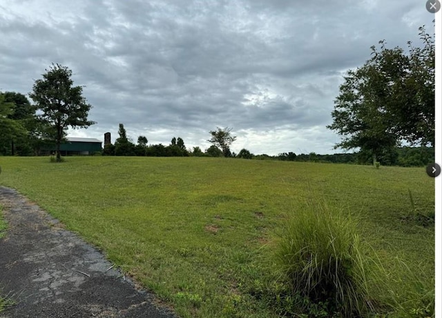 526 Spring Place Rd NE, White, GA 30184 - view of grassy yard