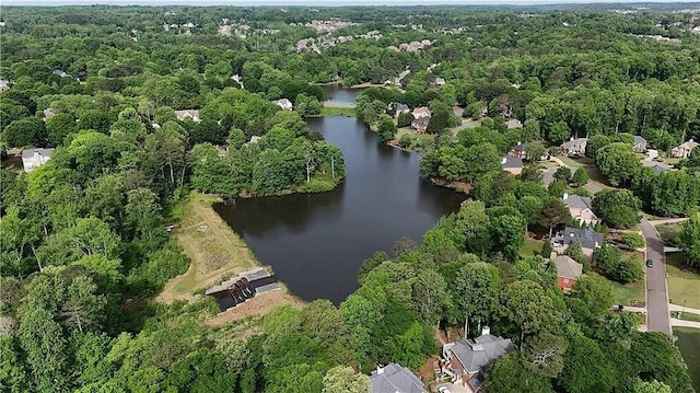 1045 River Pt, Suwanee, GA 30024 - aerial overview of property's location with a nearby body of water