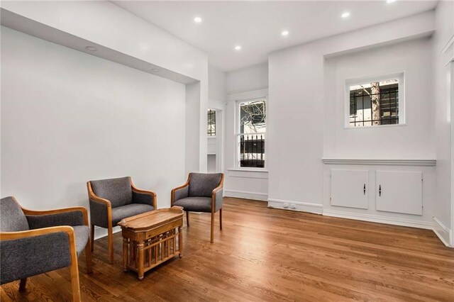 sitting room with wood-type flooring