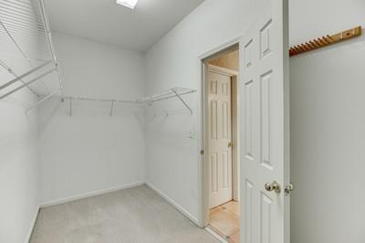 walk in closet with carpet floors