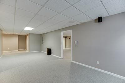 basement featuring a paneled ceiling and carpet flooring