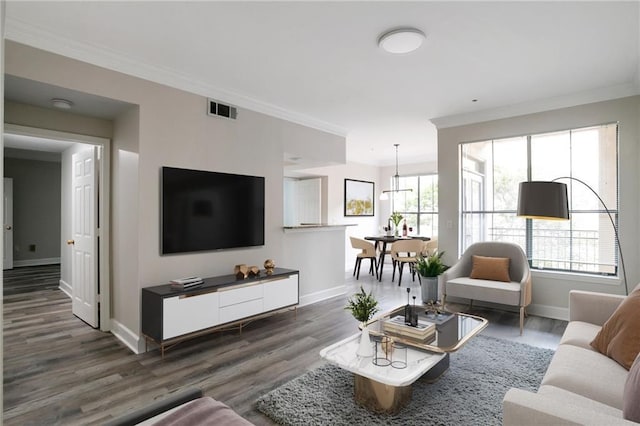 living room featuring dark hardwood / wood-style floors, plenty of natural light, and crown molding