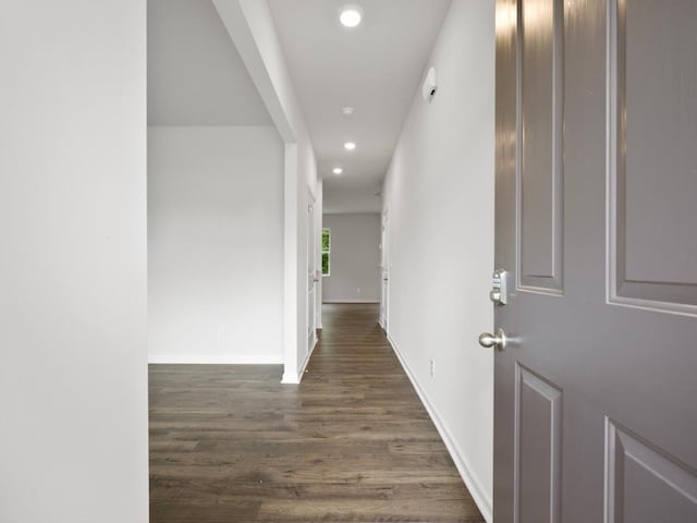 hall featuring dark wood-type flooring