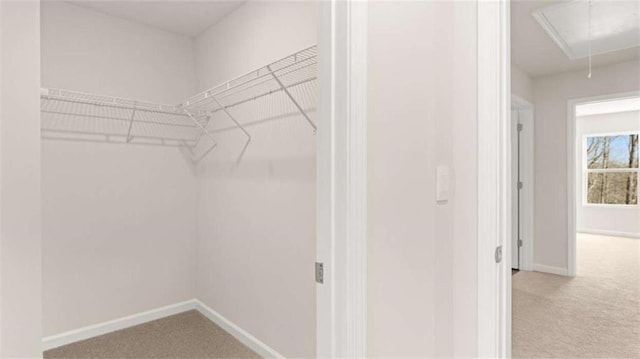 321 Sound Cir, Stockbridge, GA 30281 - walk in closet with attic access and light carpet