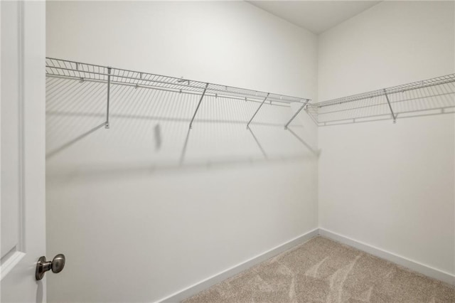 1637 Short Shadow Ln, Snellville, GA 30078 - walk in closet featuring carpet floors