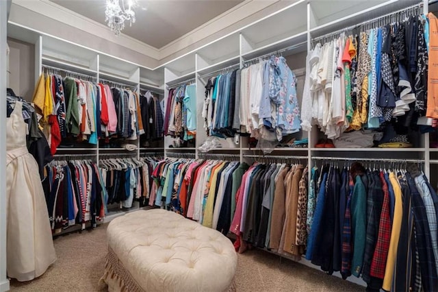 walk in closet with carpet floors and a chandelier