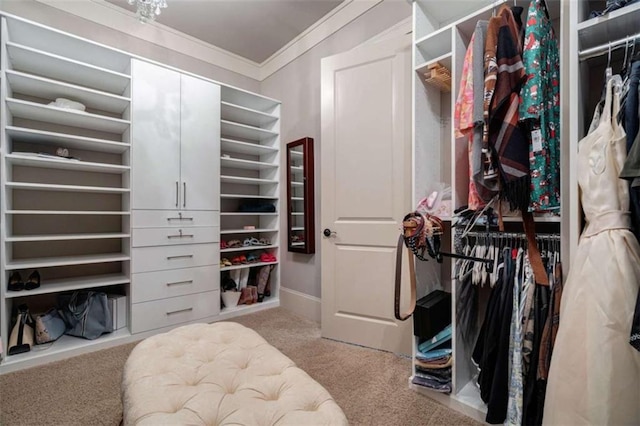 walk in closet with light carpet