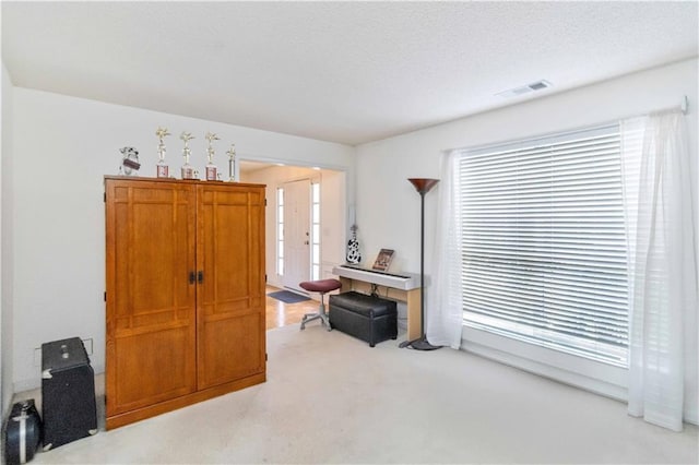 11885 Carriage Park Ln, Duluth, GA 30097 - interior space with carpet floors and a textured ceiling