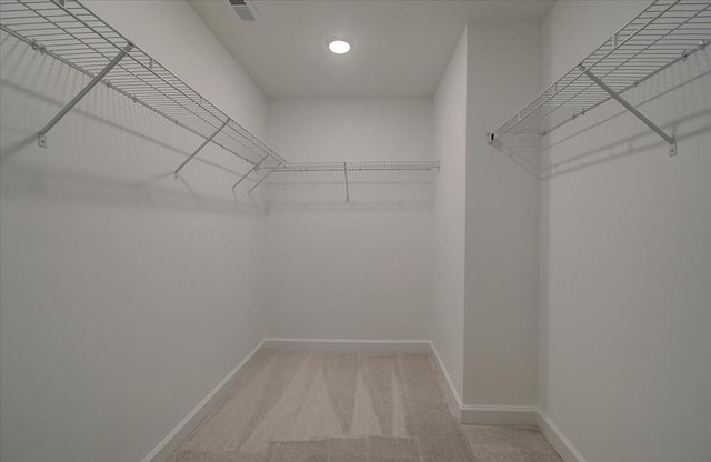 walk in closet featuring carpet floors