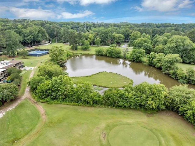 30 Chaumont Sq NW, Atlanta, GA 30327 - bird's eye view of a nearby body of water and a golf course